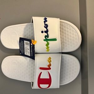 Champion Rainbow Slides